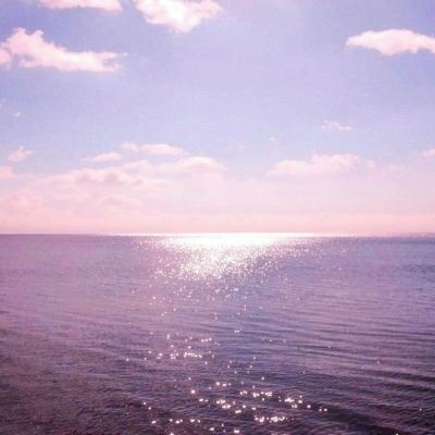 万博全站(Manbetx)截图